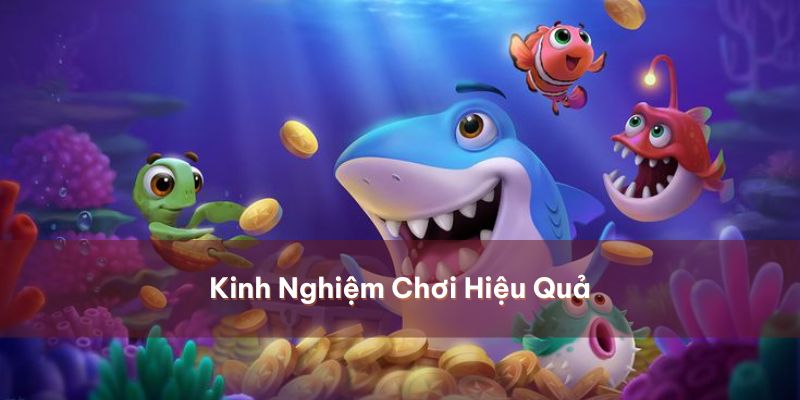 Trọn bộ bí kíp thắng đậm trong những cuộc đi săn tìm đại dương