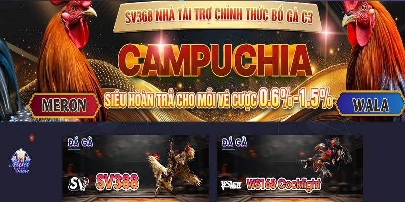 Đặt cược vào trận đá gà kiếm thưởng