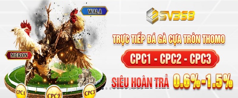 SV368 - Nhà cái cá cược đẳng cấp