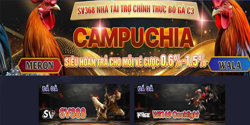 SV368 - Nhà cái cá cược đẳng cấp